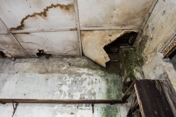 Cost of Water Damage Service in Sanford
