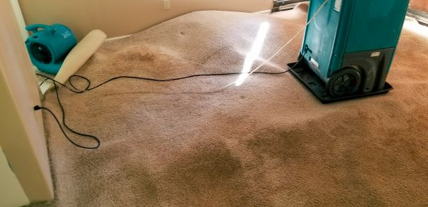 Cost of Flood Damage Cleanup in Sanford