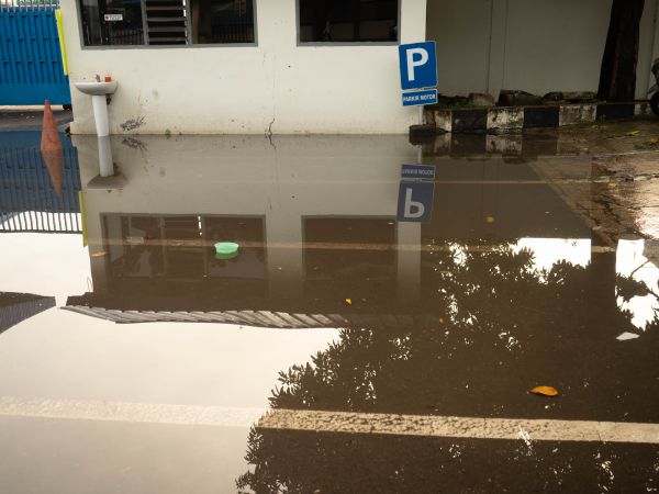 Cost of Storm Damage Repair in Sanford