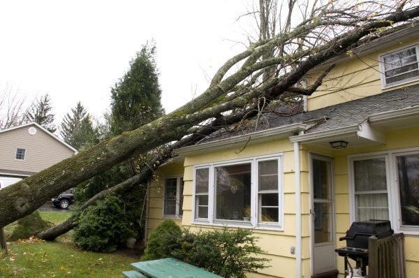 Cost of Hurricane Damage Repair in Sanford